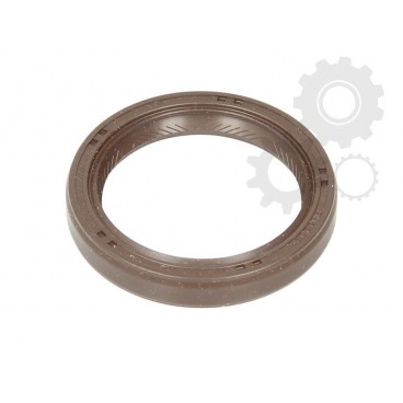 Garnitura ax cardanic/etansare