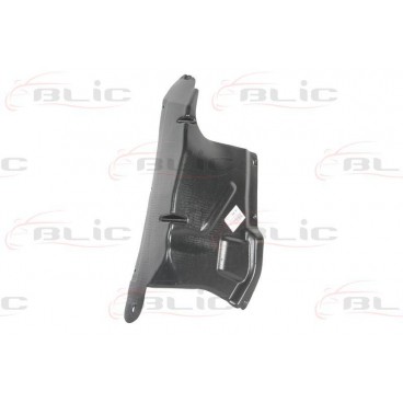 Scut motor/cutie viteze