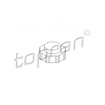 Capac vas expansiune