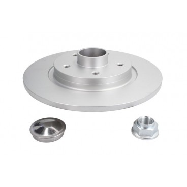 Brake disk with bearing