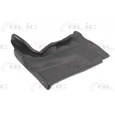 Scut motor/cutie viteze