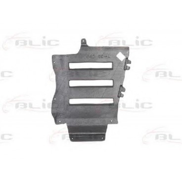 Scut motor/cutie viteze