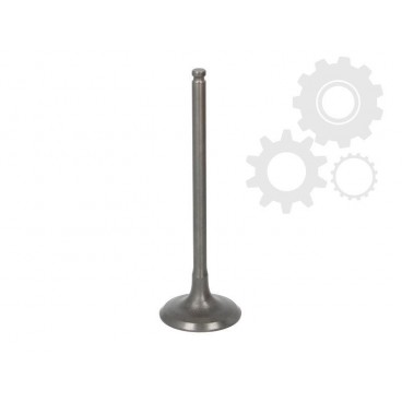 Supape/pastile reglaj