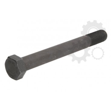 Leaf spring fixing bolt