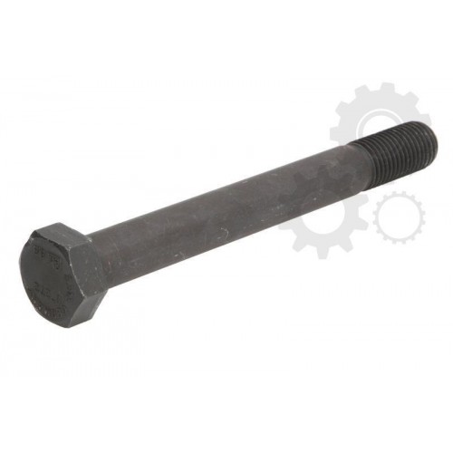 Leaf spring fixing bolt
