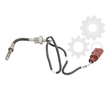 Senzor temperatura evacuare