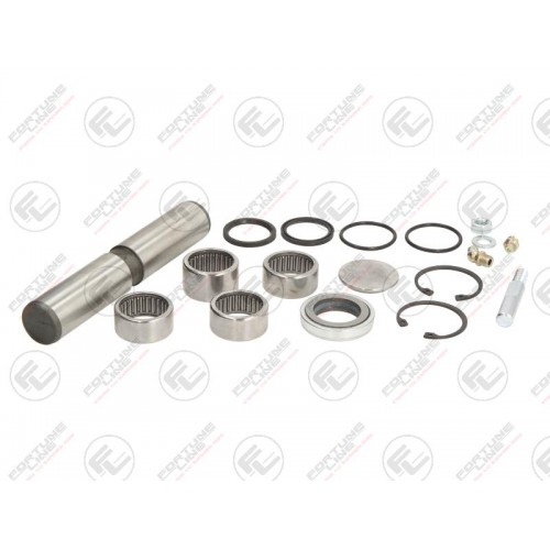 Kit reparatie pivot