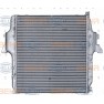 Radiator aer
