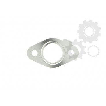 Garnitura supapa EGR