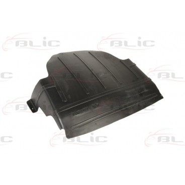 Scut motor/cutie viteze