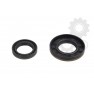 Crankshaft oil seals