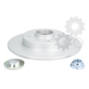 Brake disk with bearing