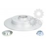 Brake disk with bearing