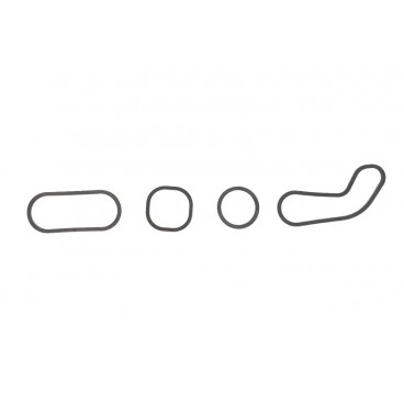 Garnitura radiator ulei