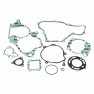 Set garnituri motor