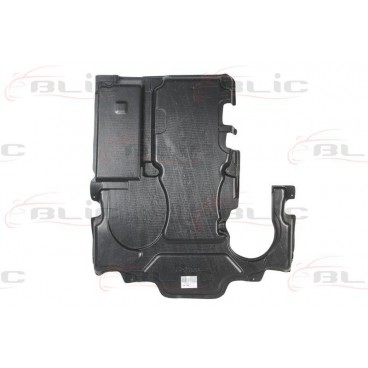 Scut motor/cutie viteze