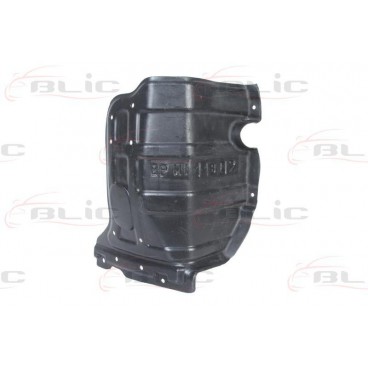 Scut motor/cutie viteze