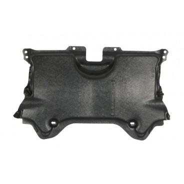 Scut motor/cutie viteze