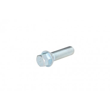 Wheel bolt