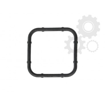 Garnitura capac termostat