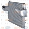 Radiator aer