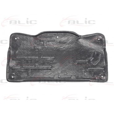 Scut motor/cutie viteze