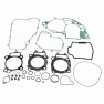 Set garnituri motor