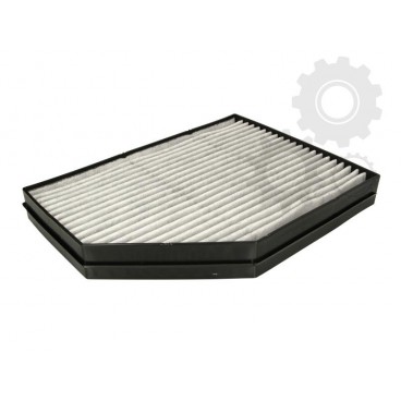 Filtru polen