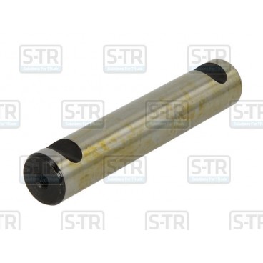 Leaf spring bolt
