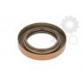 Garnitura diferential