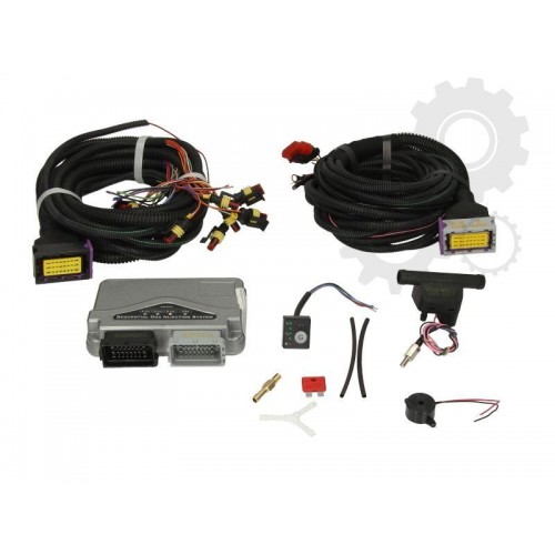 Comanda electronica ECU DIEGO