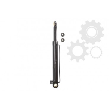 Servopompa cabina sofer