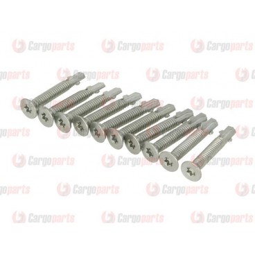 Galvanized screws