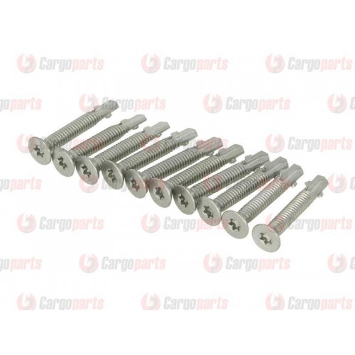 Galvanized screws