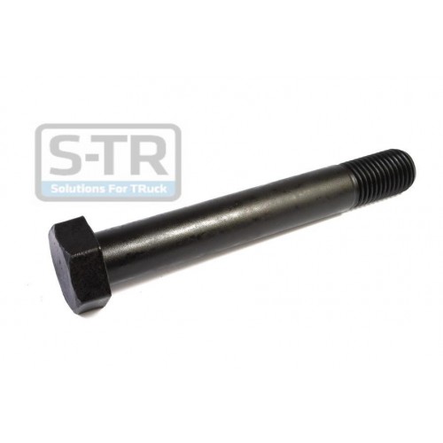 Leaf spring fixing bolt
