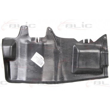 Scut motor/cutie viteze