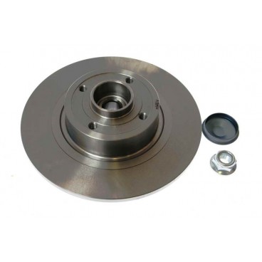 Brake disk with bearing