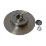Brake disk with bearing