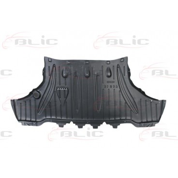 Scut motor/cutie viteze