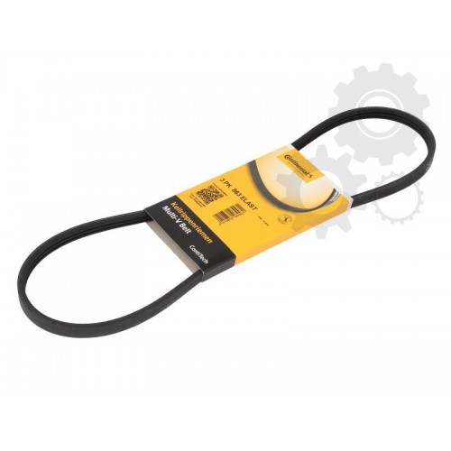 Curea transmisie canelata Curea transmisie canelata