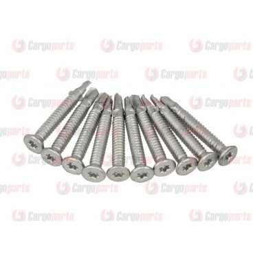 Galvanized screws