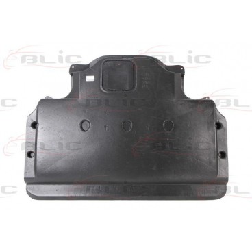 Scut motor/cutie viteze