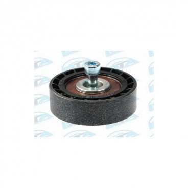 Intinzator curea transmisie