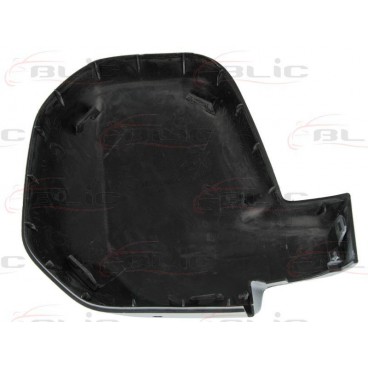 Carcasa oglinda retrovizoare