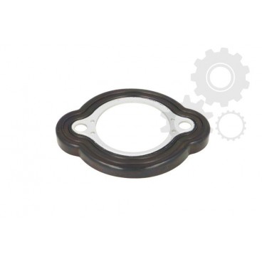 Garnitura conducta radiator