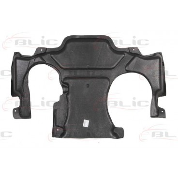 Scut motor/cutie viteze