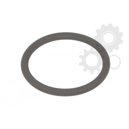 Garnitura conducta radiator