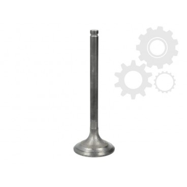 Supape/pastile reglaj