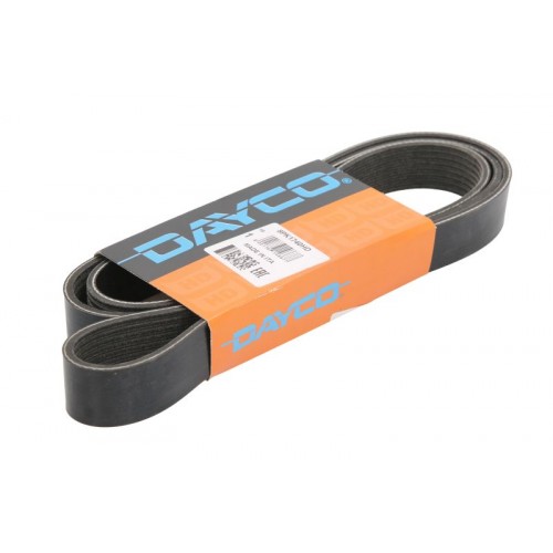 Curea transmisie canelata