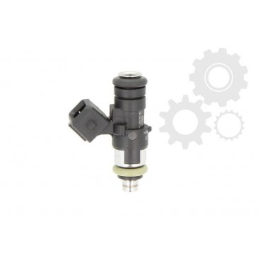 Injector combustibil